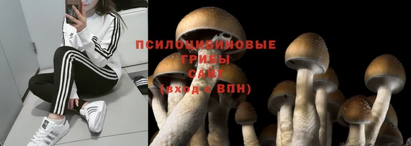 Альфа ПВП Володарск