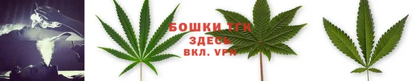 Альфа ПВП Володарск